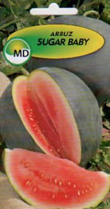 nakupujte polská semena zeleninových květin ve velkém