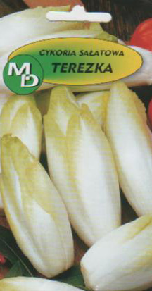 nakupujte polská semena zeleninových květin ve velkém