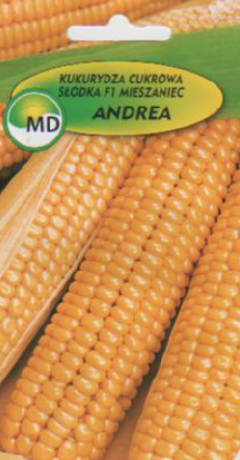 nakupujte polská semena zeleninových květin ve velkém